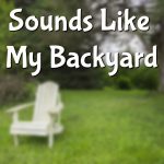 1400 Sounds Like My Backyard